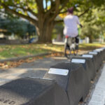 Paceline Bike Lane Barriers